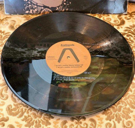 Aaliyah – We Need A Resolution Vinyl Record - Yatva