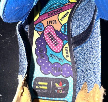 Adidas Pharrell Williams Low Trainers - Yatva