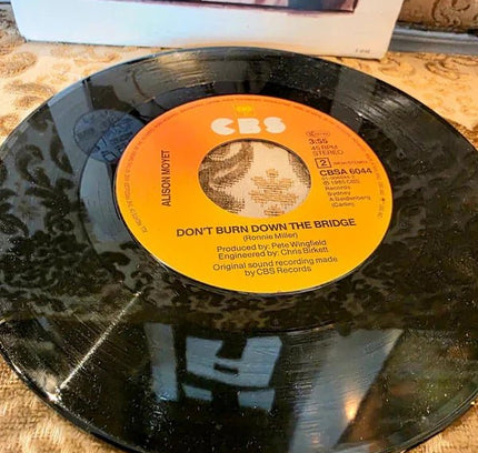 Alison Moyet – That Ole Devil Called Love Vinyl Record - Yatva