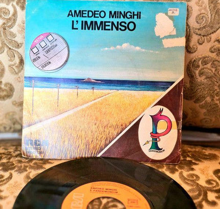 Amedeo Minghi E Pandemonium – L'Immenso Vinyl Record - Yatva
