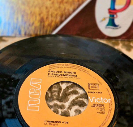 Amedeo Minghi E Pandemonium – L'Immenso Vinyl Record - Yatva