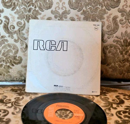 Amedeo Minghi E Pandemonium – L'Immenso Vinyl Record - Yatva