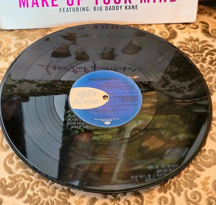 Assorted Phlavors – Make Up Your Mind Vinyl Record - Yatva