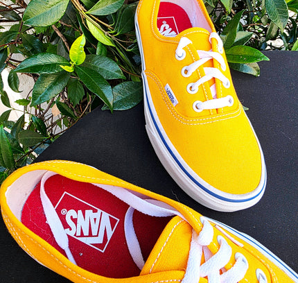 Brand New Vans Authentic low Trainers - Yatva