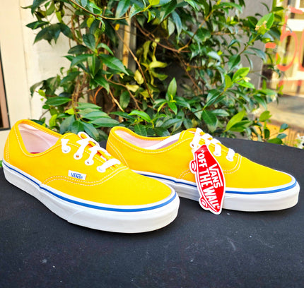 Brand New Vans Authentic low Trainers - Yatva