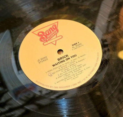 Brick – Waiting On You Vinyl Record - Yatva