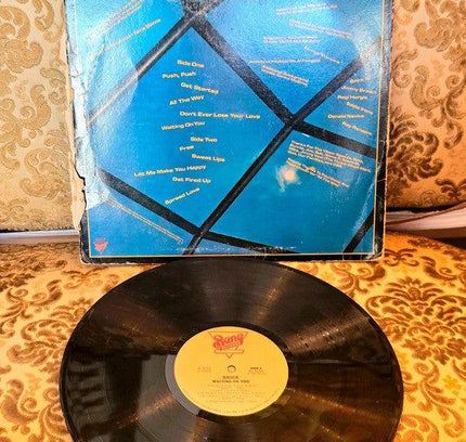 Brick – Waiting On You Vinyl Record - Yatva