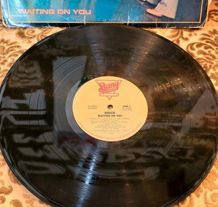 Brick – Waiting On You Vinyl Record - Yatva