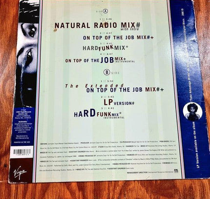 Brigette McWilliams – I Get The Job Done - Record Vinyl - Yatva