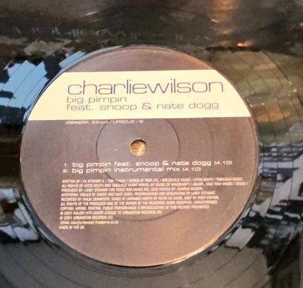 Charlie Wilson – Absolutely Vinyl Record - Yatva