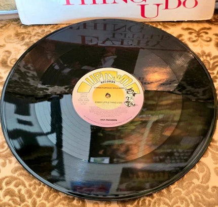 Christopher Williams – Every Little Thing U Do Vinyl Record - Yatva
