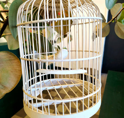 Classic White Domed Birdcage - Yatva