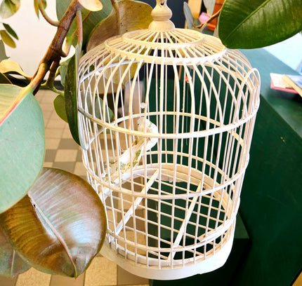 Classic White Domed Birdcage - Yatva