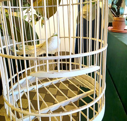 Classic White Domed Birdcage - Yatva