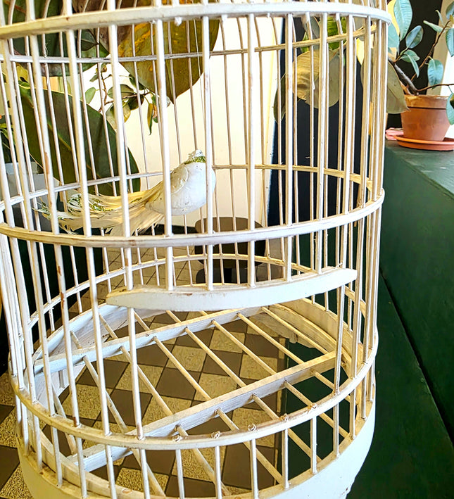 Classic White Domed Birdcage - Yatva