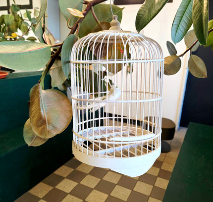 Classic White Domed Birdcage - Yatva