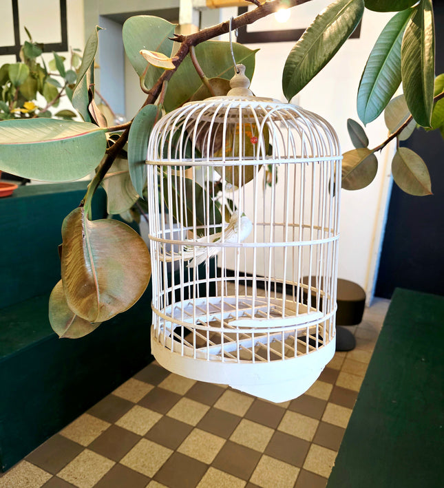 Classic White Domed Birdcage - Yatva