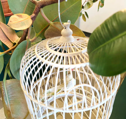 Classic White Domed Birdcage - Yatva