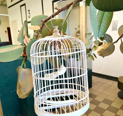 Classic White Domed Birdcage - Yatva