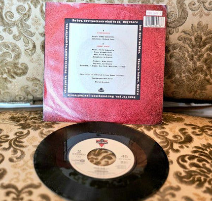 Communards – Disenchanted Vinyl Record - Yatva