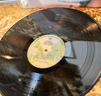 David Sanborn – Sanborn Vinyl Record - Yatva