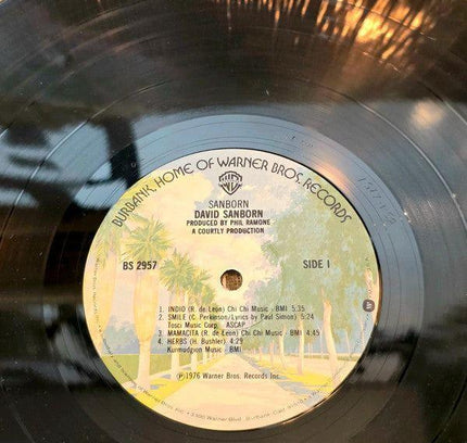 David Sanborn – Sanborn Vinyl Record - Yatva