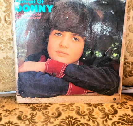 Donny Osmond – Portrait Of Donny Vinyl Record - Yatva