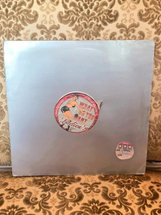 Dream Warriors – What Do You Want 'Ladies'? Vinyl Record - Yatva