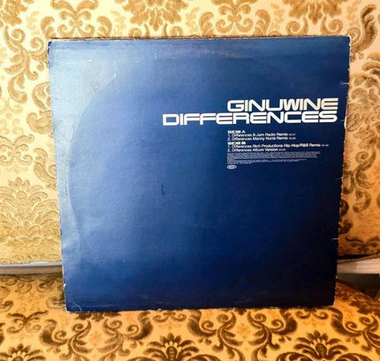 Ginuwine – Differences Vinyl Record - Yatva