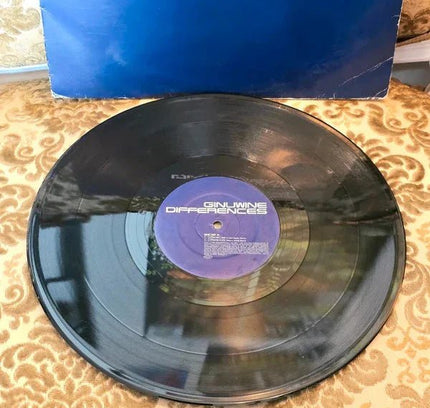 Ginuwine – Differences Vinyl Record - Yatva