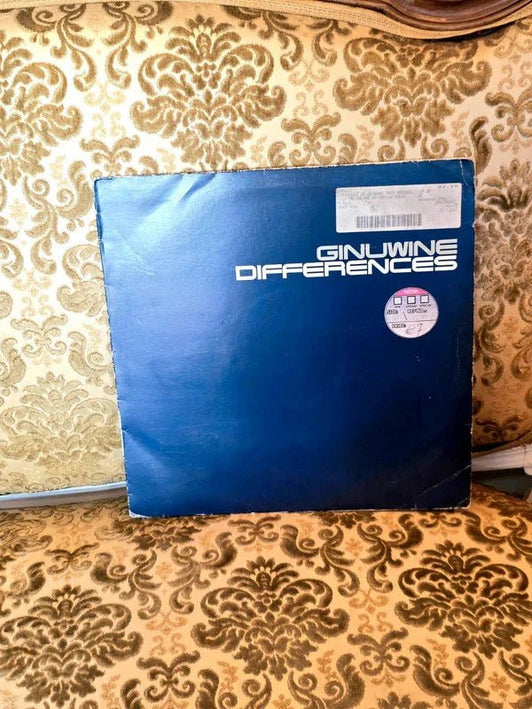 Ginuwine – Differences Vinyl Record - Yatva
