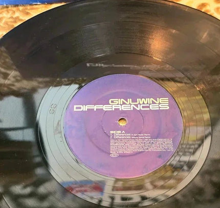 Ginuwine – Differences Vinyl Record - Yatva