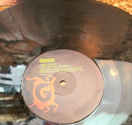 Ginuwine – What's So Different? Vinyl Record - Yatva