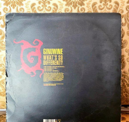 Ginuwine – What's So Different? Vinyl Record - Yatva