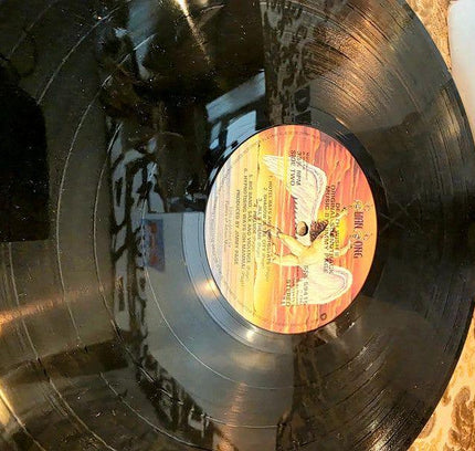 Jimmy Page – Death Wish II - The Original Soundtrack Vinyl Record - Yatva