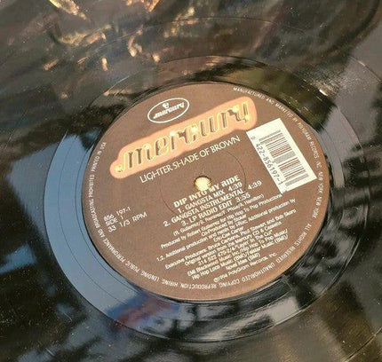 Lighter Shade Of Brown – Dip Into My Ride Vinyl Record - Yatva