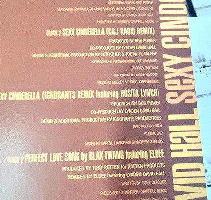 Lynden David Hall – Sexy Cinderella - Vinyl Record - Yatva