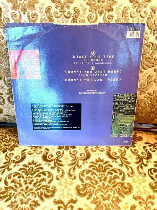 Mantronix – Take Your Time Vinyl Record - Yatva