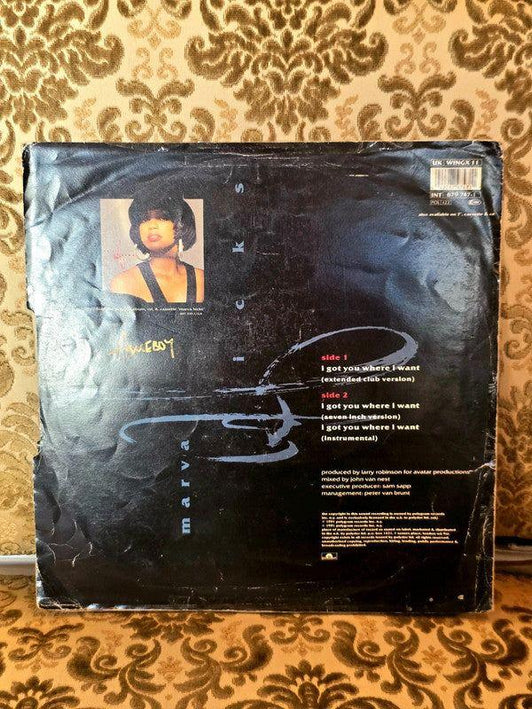 Marva Hicks – I Got You Where I Want Vinyl Record - Yatva