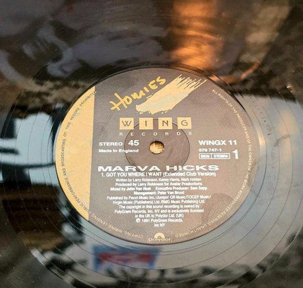 Marva Hicks – I Got You Where I Want Vinyl Record - Yatva