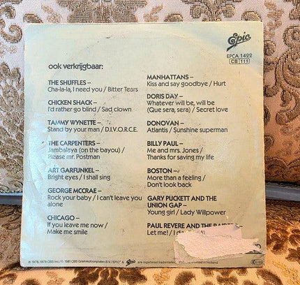 Meatloaf* – Paradise By The Dashboard Light / You Took The Words Right Out Of My Mouth Vinyl Record - Yatva