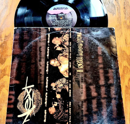 Next – I Still Love You Record Vinyl - Yatva