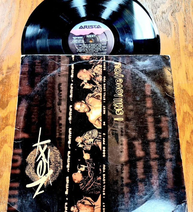 Next – I Still Love You Record Vinyl - Yatva