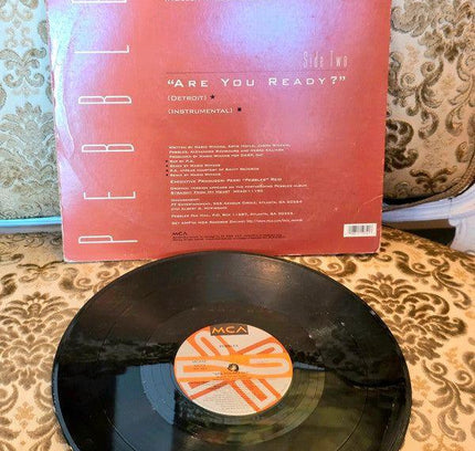 Pebbles – Are You Ready? Vinyl Record - Yatva