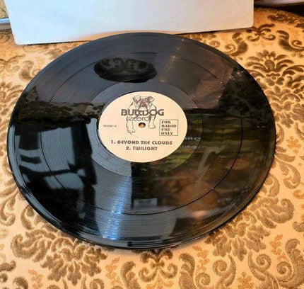 Quartz / Maze / Newcleus – Beyond The Clouds / Jam On It Vinyl Record - Yatva