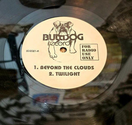 Quartz / Maze / Newcleus – Beyond The Clouds / Jam On It Vinyl Record - Yatva