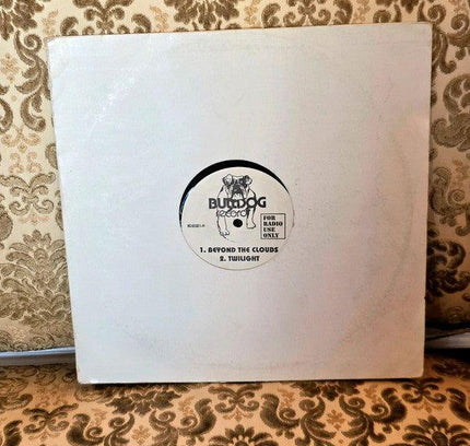 Quartz / Maze / Newcleus – Beyond The Clouds / Jam On It Vinyl Record - Yatva
