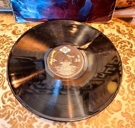R. Kelly And Public Announcement – Born Into The 90's Vinyl Record - Yatva