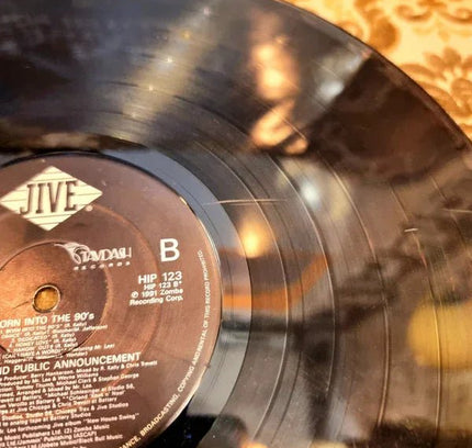 R. Kelly And Public Announcement – Born Into The 90's Vinyl Record - Yatva