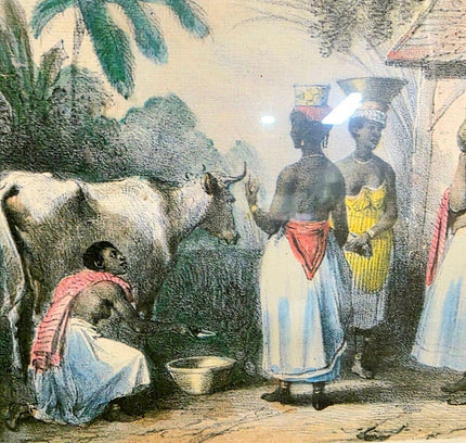 "Recreation of Life on a Pre - Civil War Plantation". Print Photo - Yatva